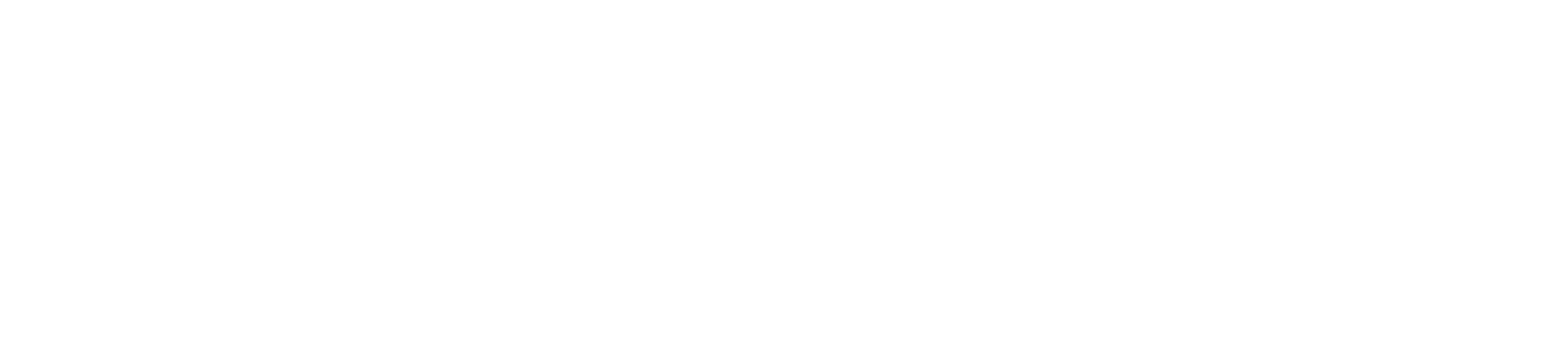 Sinapsi Adv